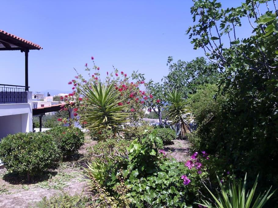 Explore Aegina Island Souvala Exterior foto